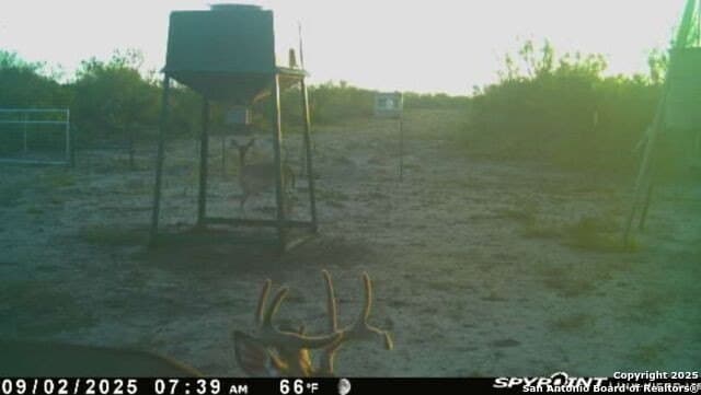 20 acres in Duval County - photo 29