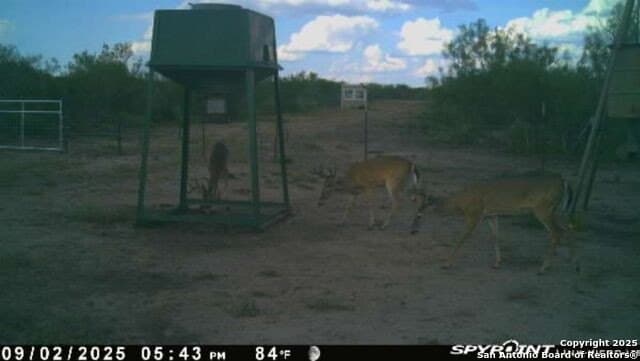 20 acres in Duval County - photo 30