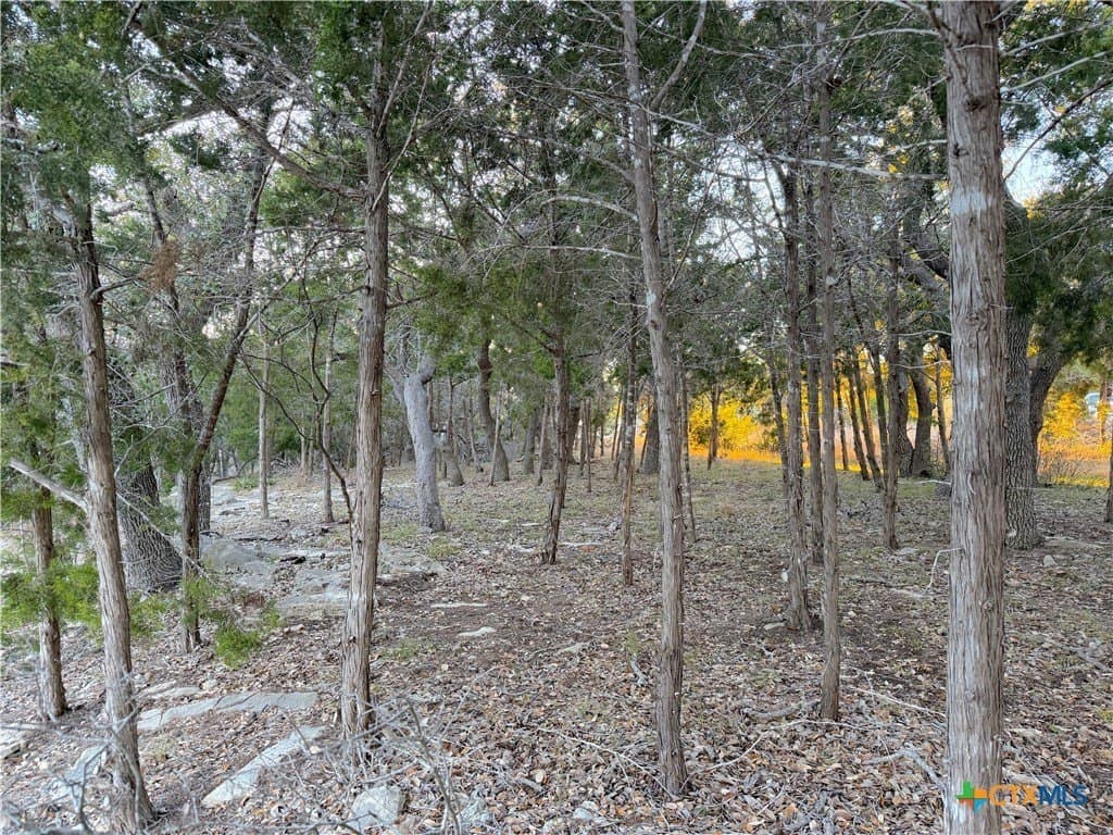 0.5 acres in Comal County - photo 2