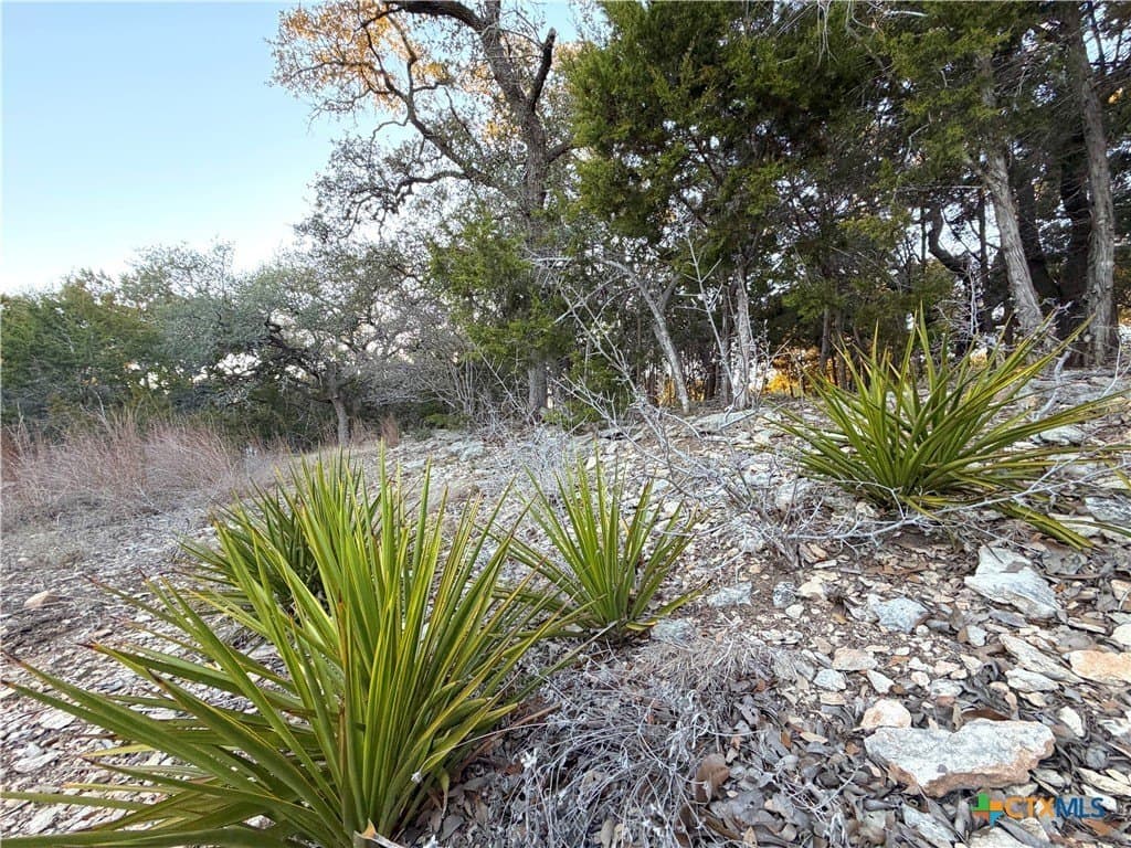 0.5 acres in Comal County - photo 3
