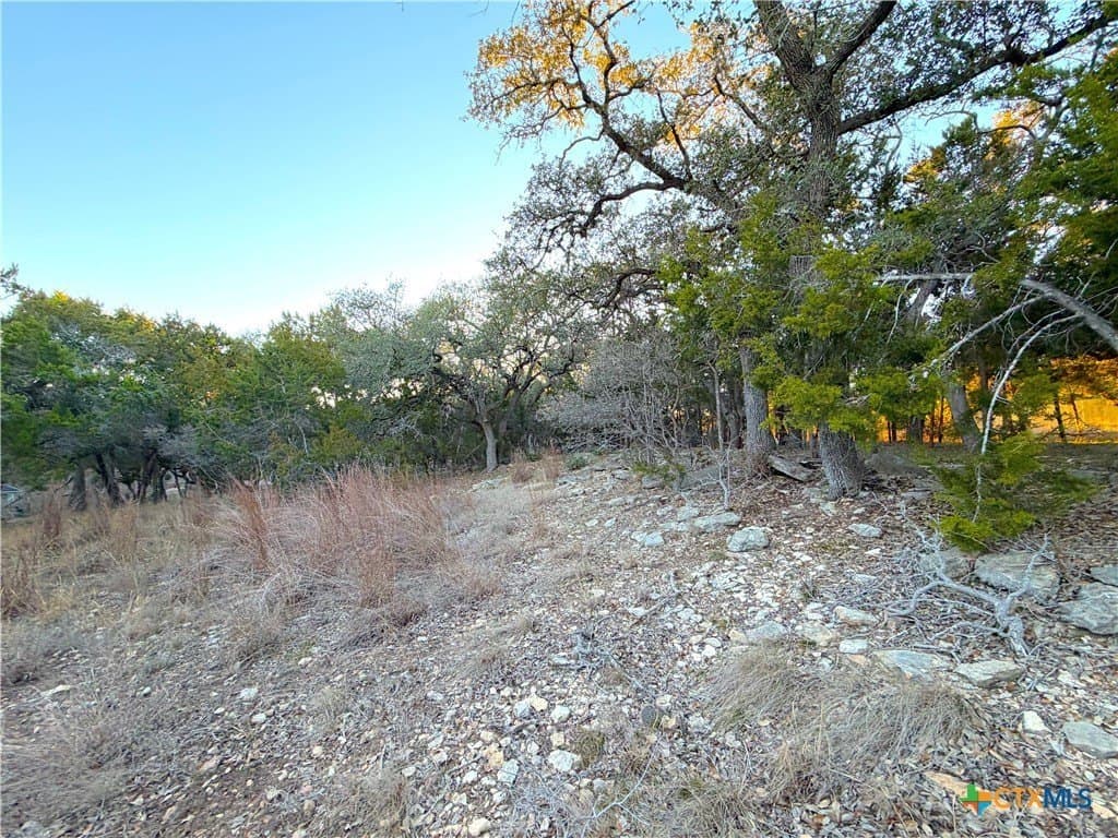 0.5 acres in Comal County - photo 8