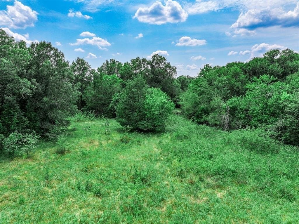 125 acres in Franklin County - photo 19