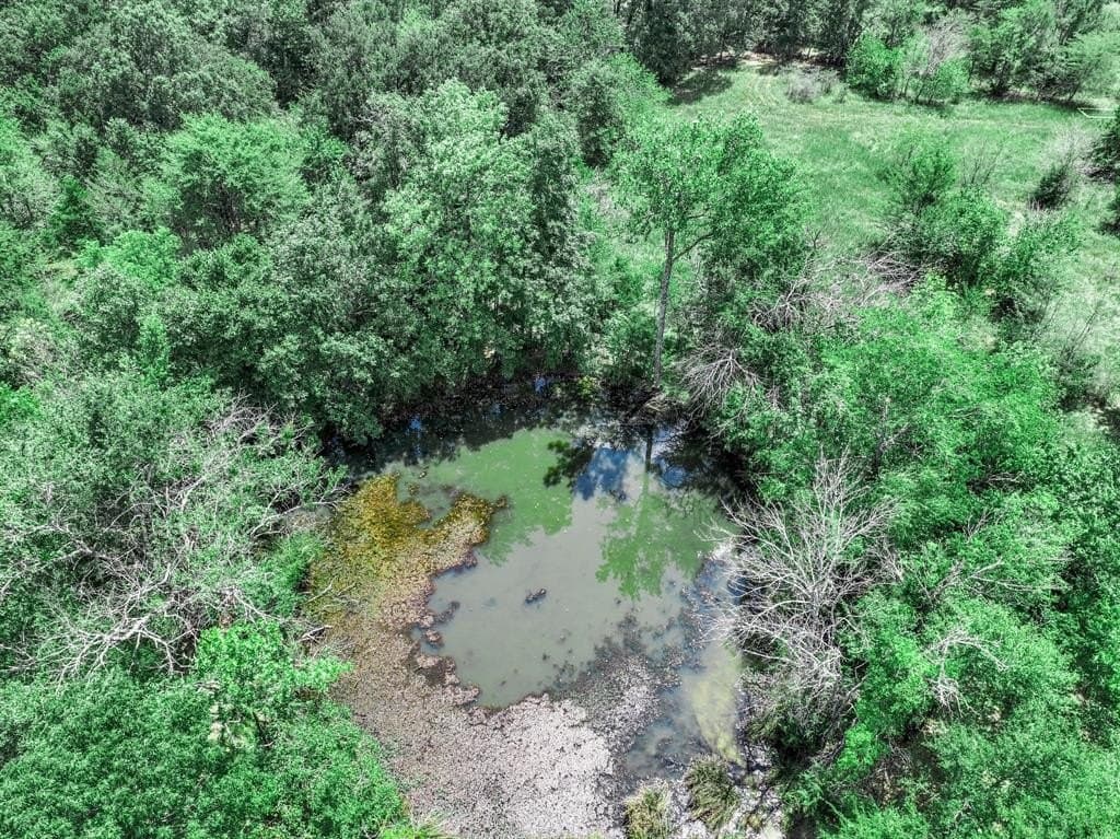 125 acres in Franklin County - photo 26