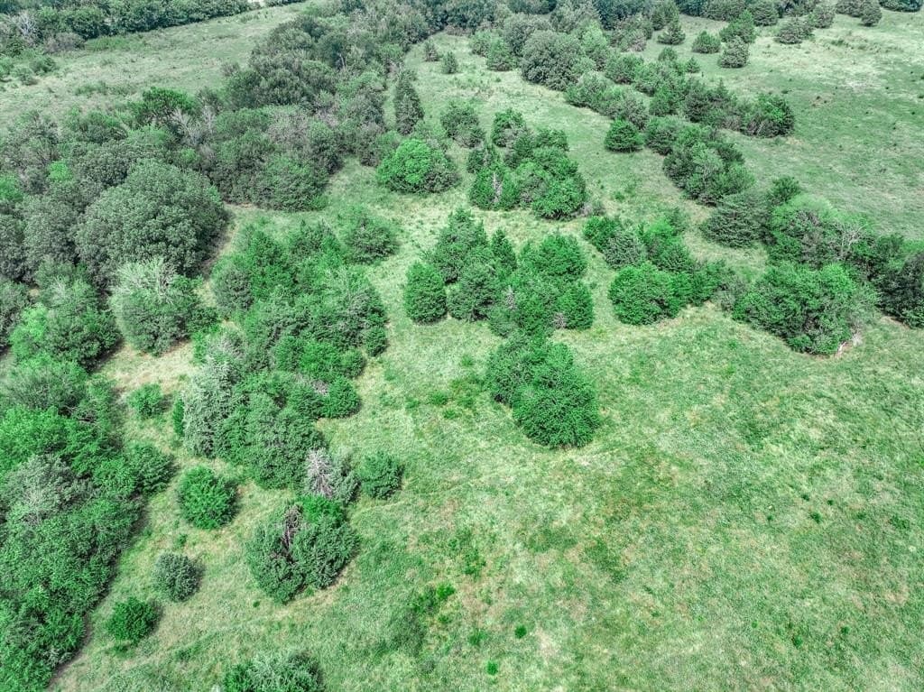 125 acres in Franklin County - photo 11