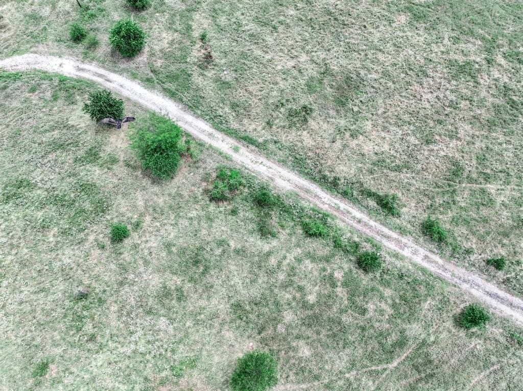125 acres in Franklin County - photo 13
