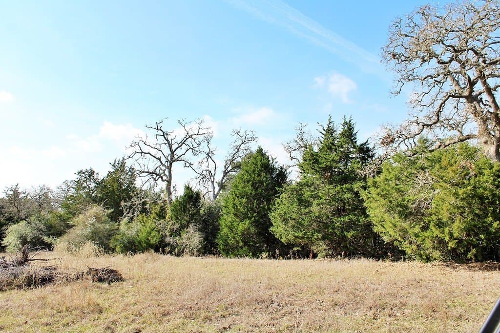10 acres in Colorado County - photo 4