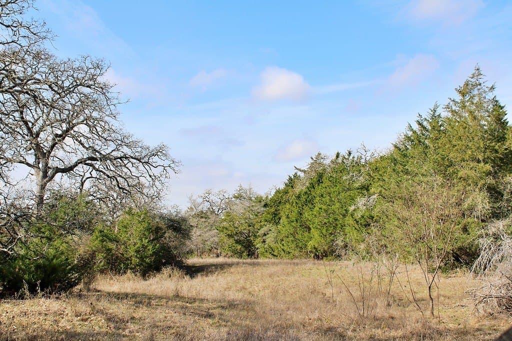 10 acres in Colorado County - photo 2
