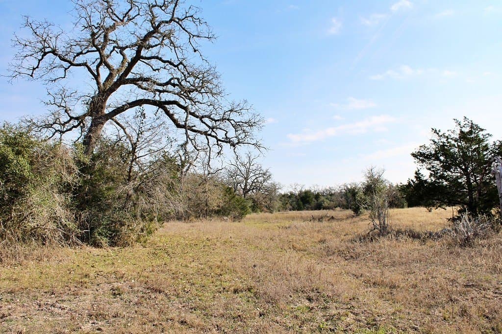 10 acres in Colorado County - photo 9