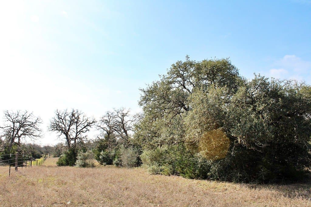 10 acres in Colorado County - photo 5