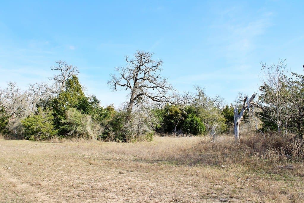 10 acres in Colorado County - photo 10