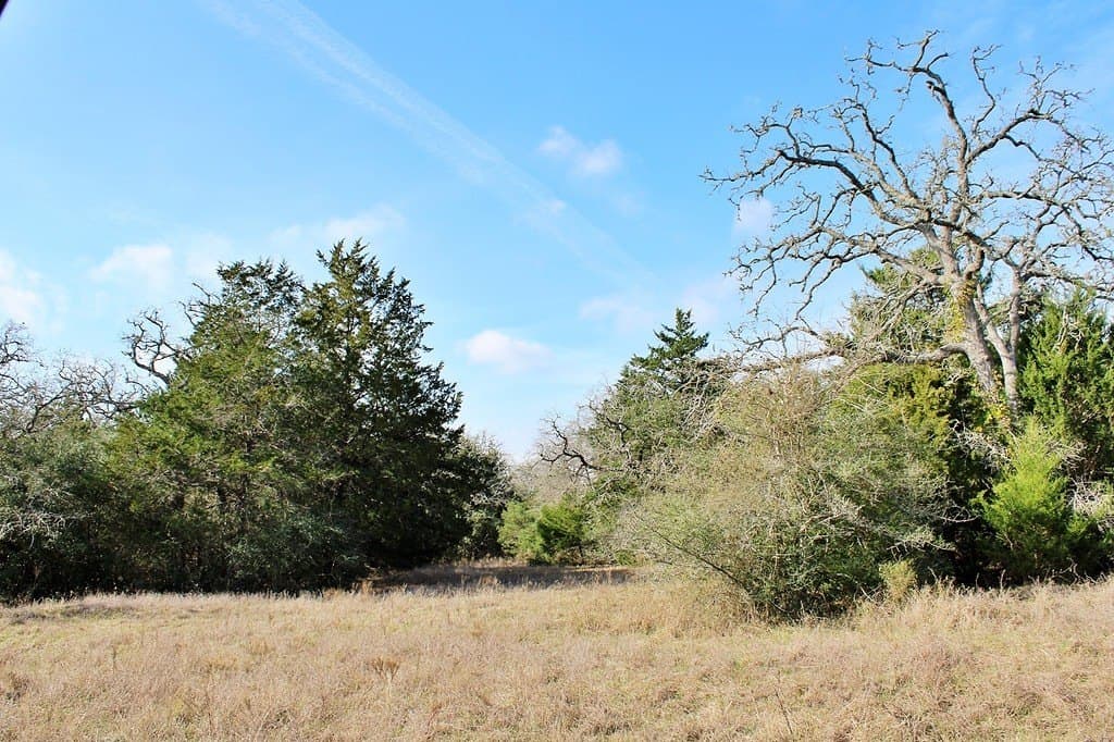 10 acres in Colorado County - photo 3