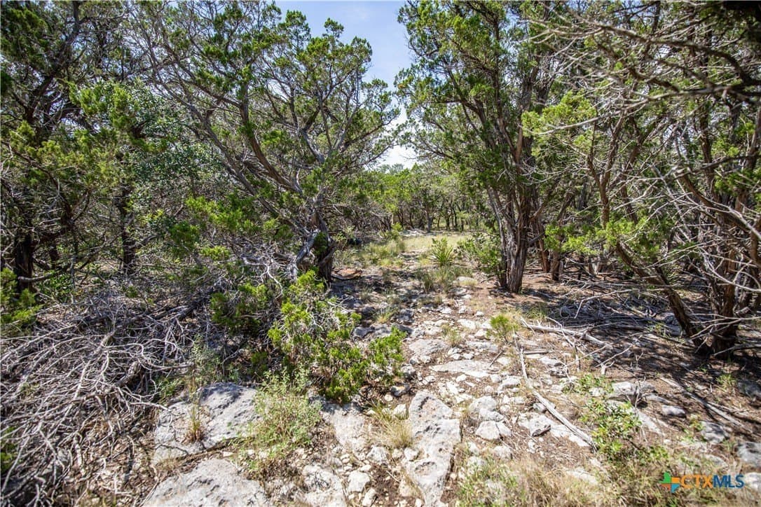 16.9 acres in Bandera County - photo 44