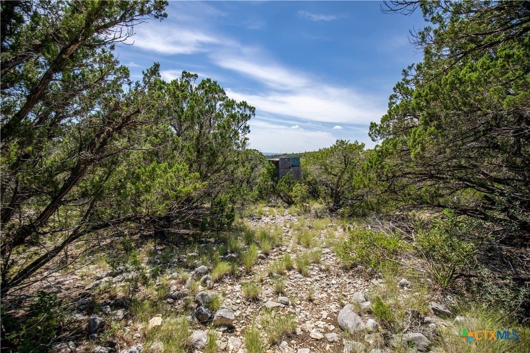 16.9 acres in Bandera County - photo 39
