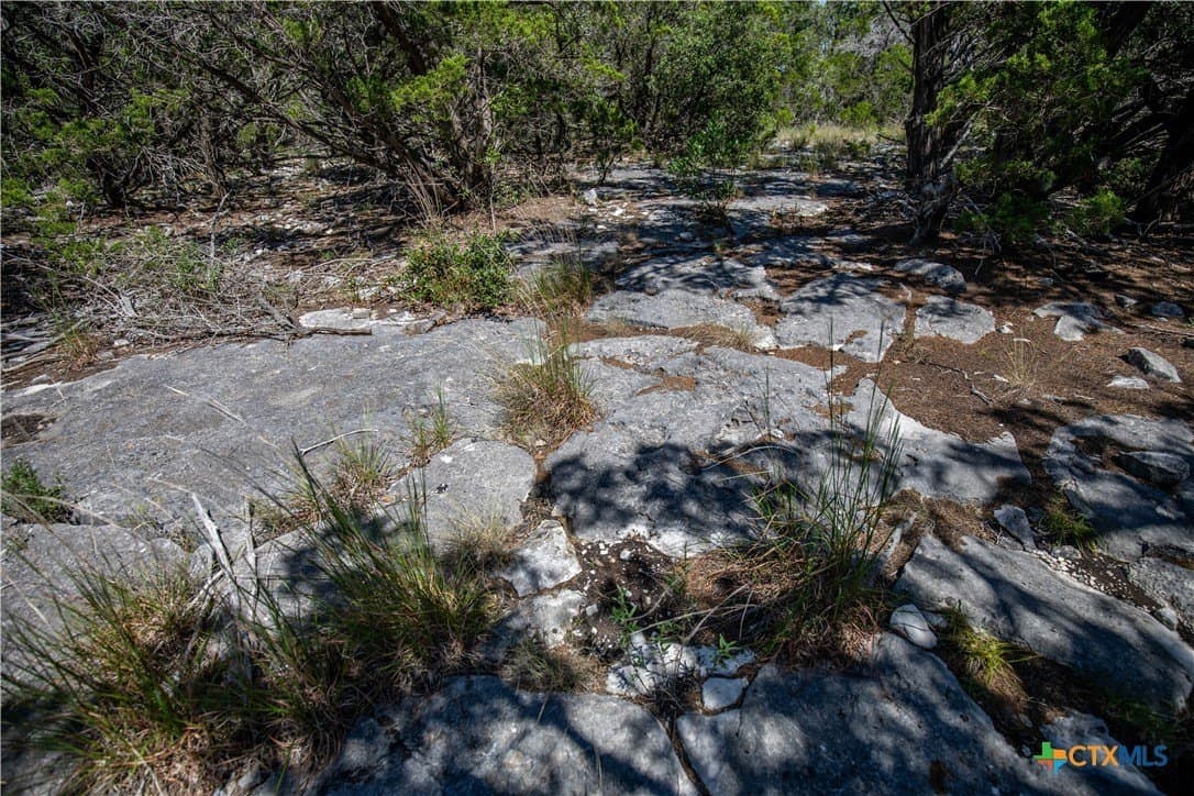 16.9 acres in Bandera County - photo 24