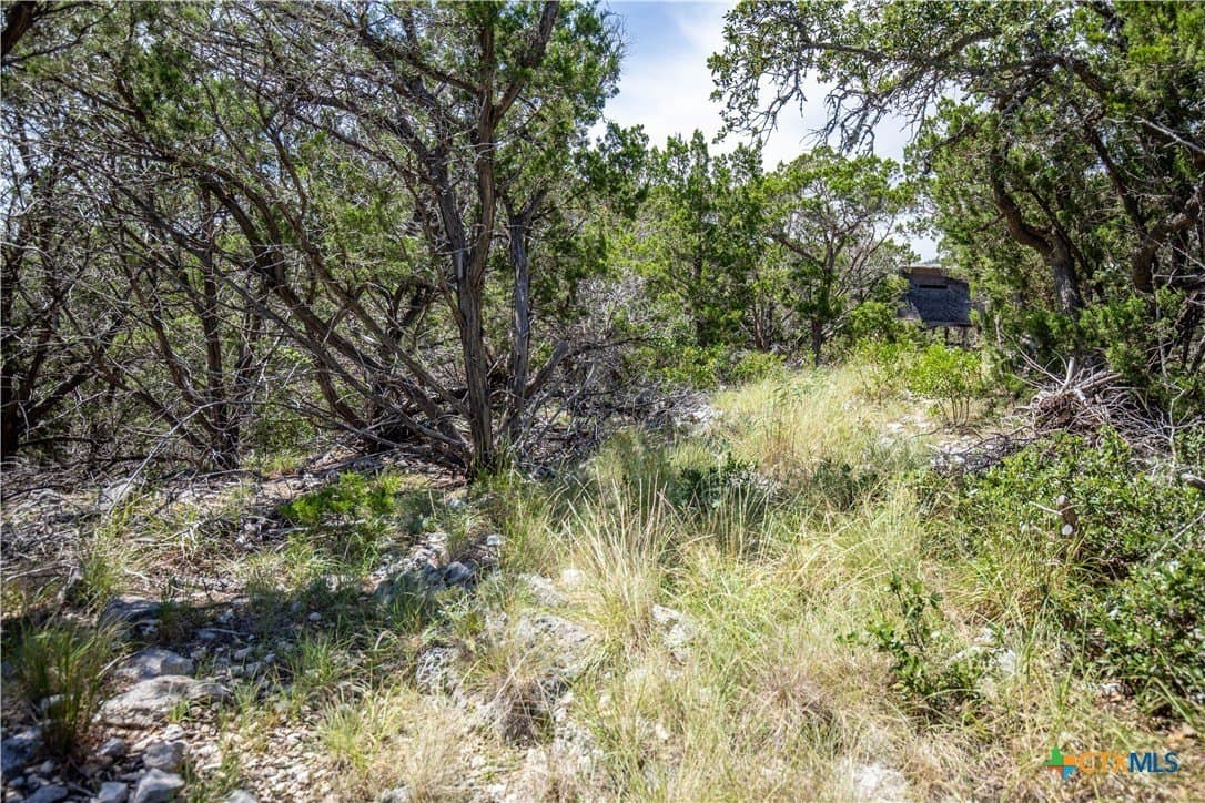 16.9 acres in Bandera County - photo 37