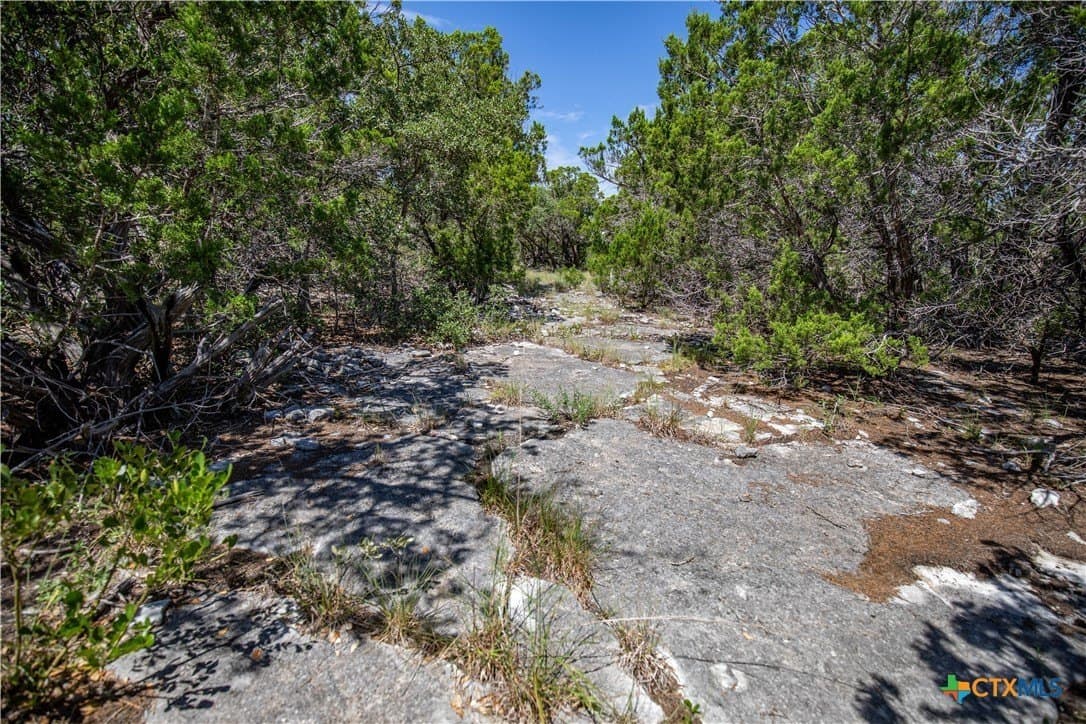 16.9 acres in Bandera County - photo 27