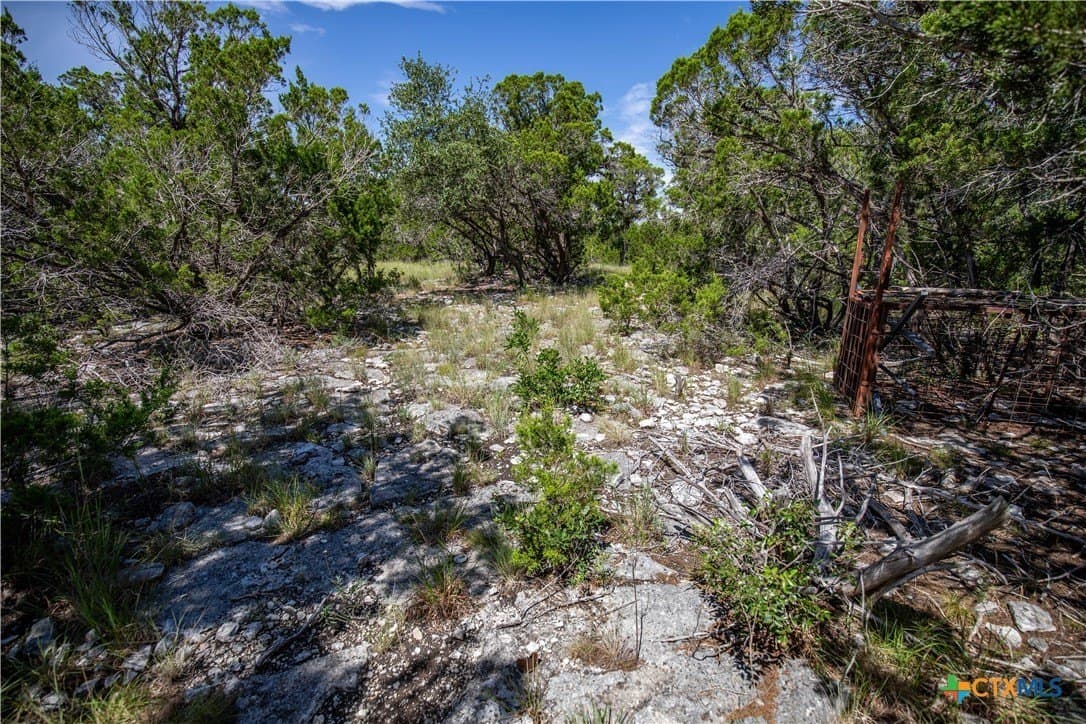 16.9 acres in Bandera County - photo 29