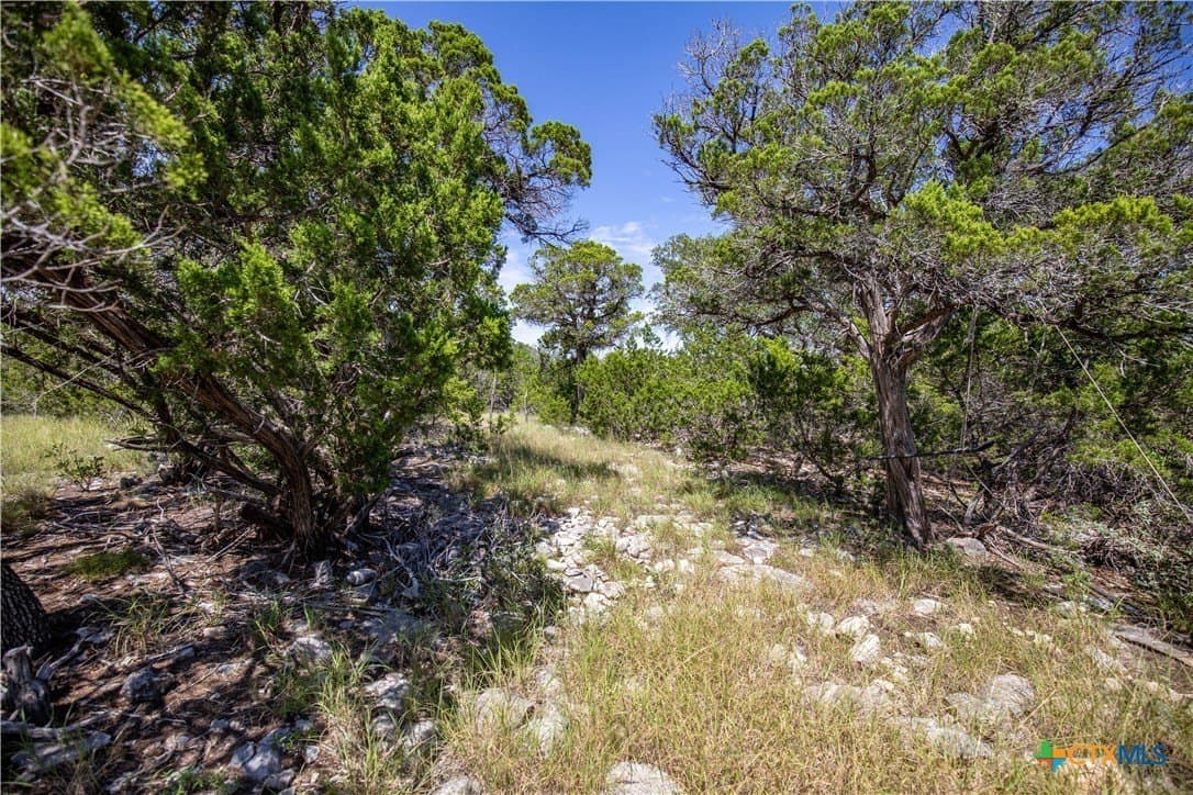 16.9 acres in Bandera County - photo 30