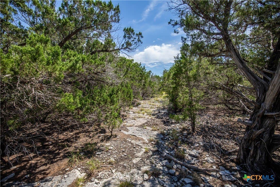 16.9 acres in Bandera County - photo 31