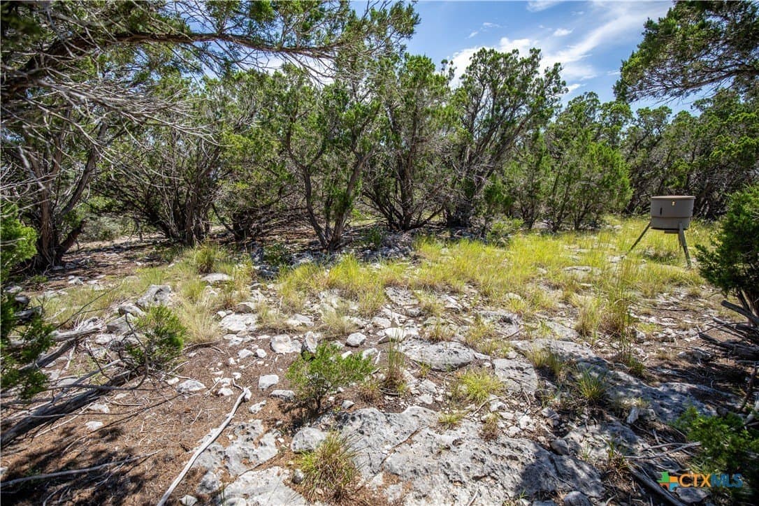 16.9 acres in Bandera County - photo 32