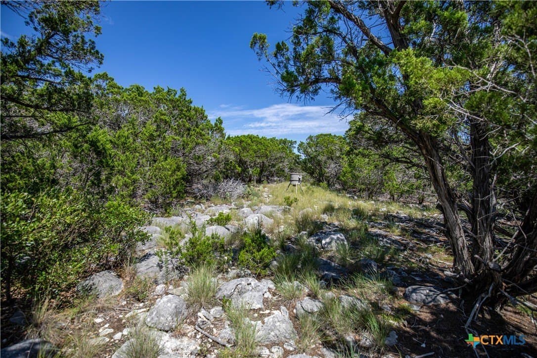 16.9 acres in Bandera County - photo 40