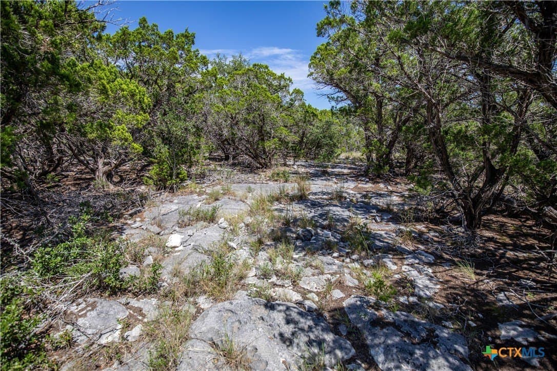 16.9 acres in Bandera County - photo 23