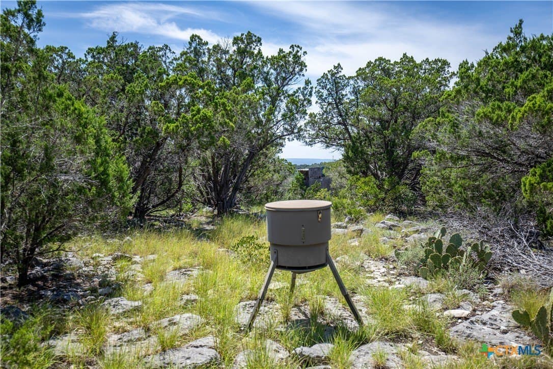 16.9 acres in Bandera County - photo 33