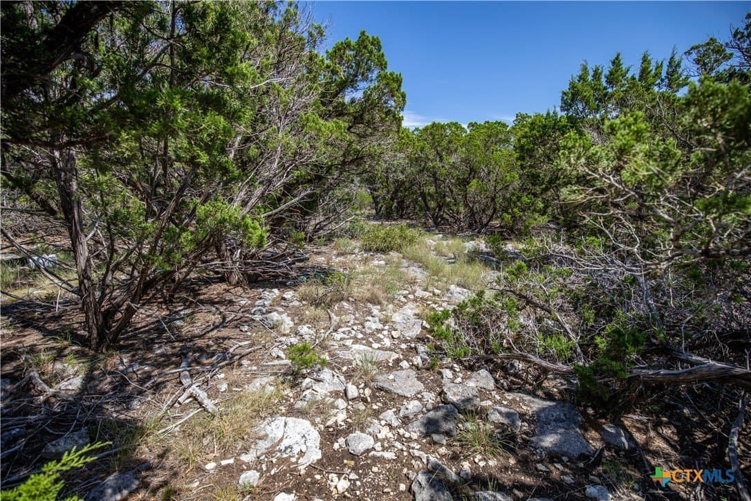 16.9 acres in Bandera County - photo 22