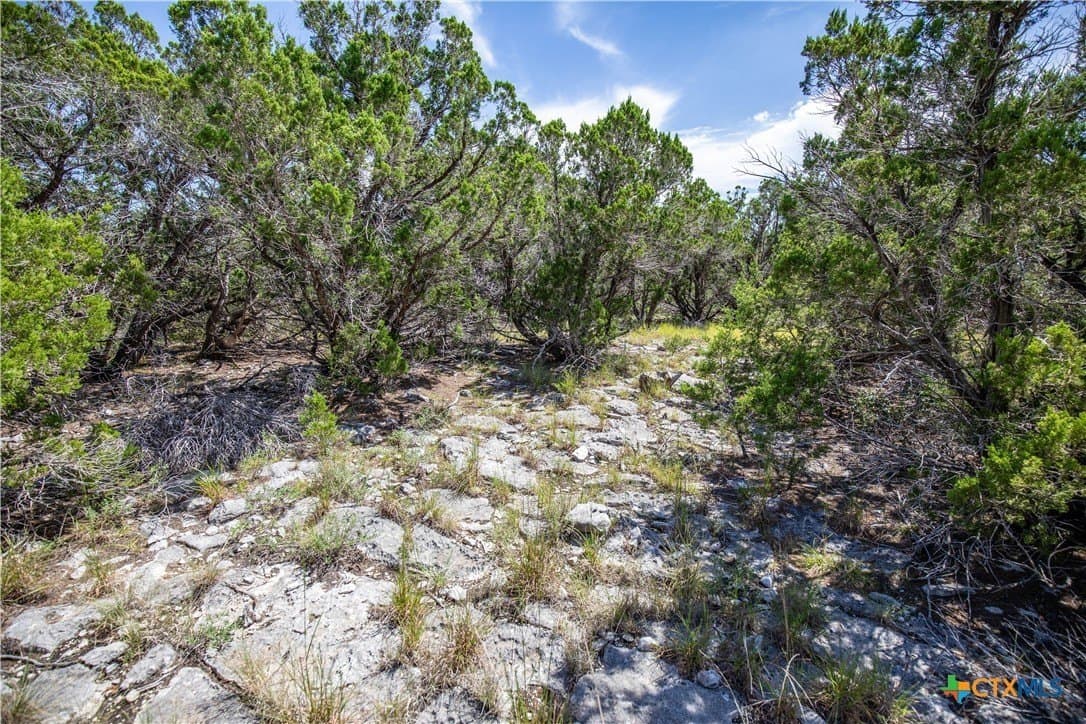 16.9 acres in Bandera County - photo 26