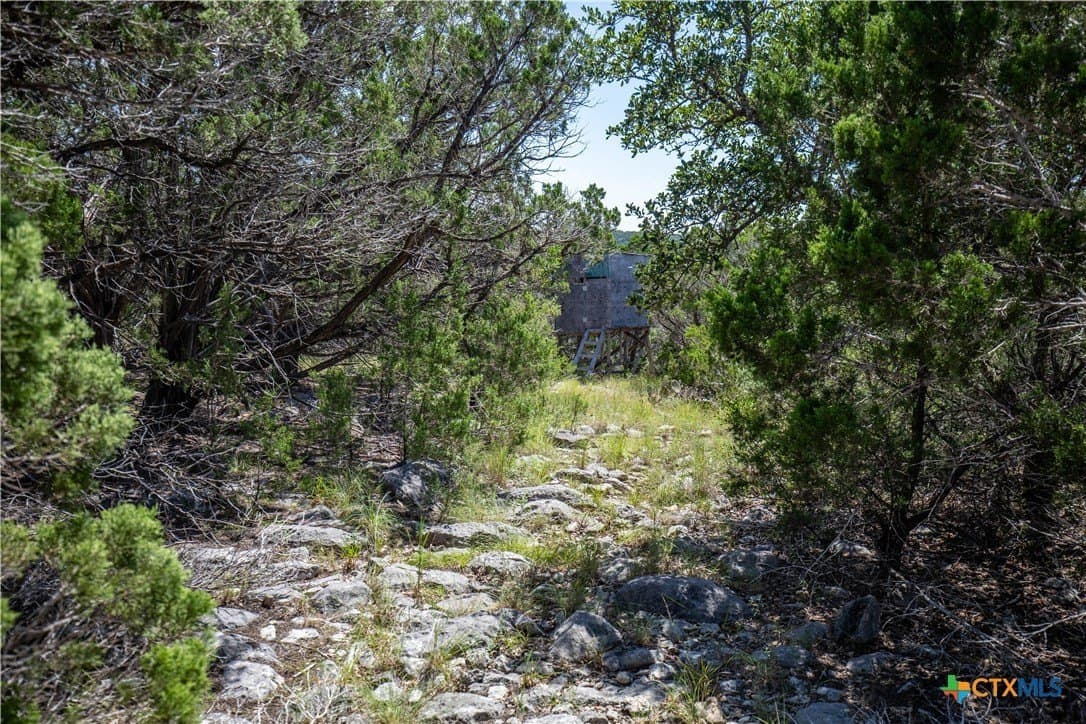 16.9 acres in Bandera County - photo 43