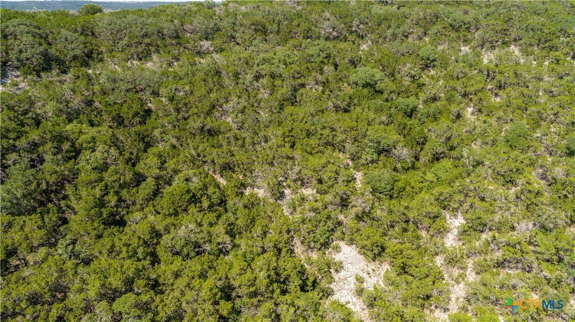 16.9 acres in Bandera County - photo 10