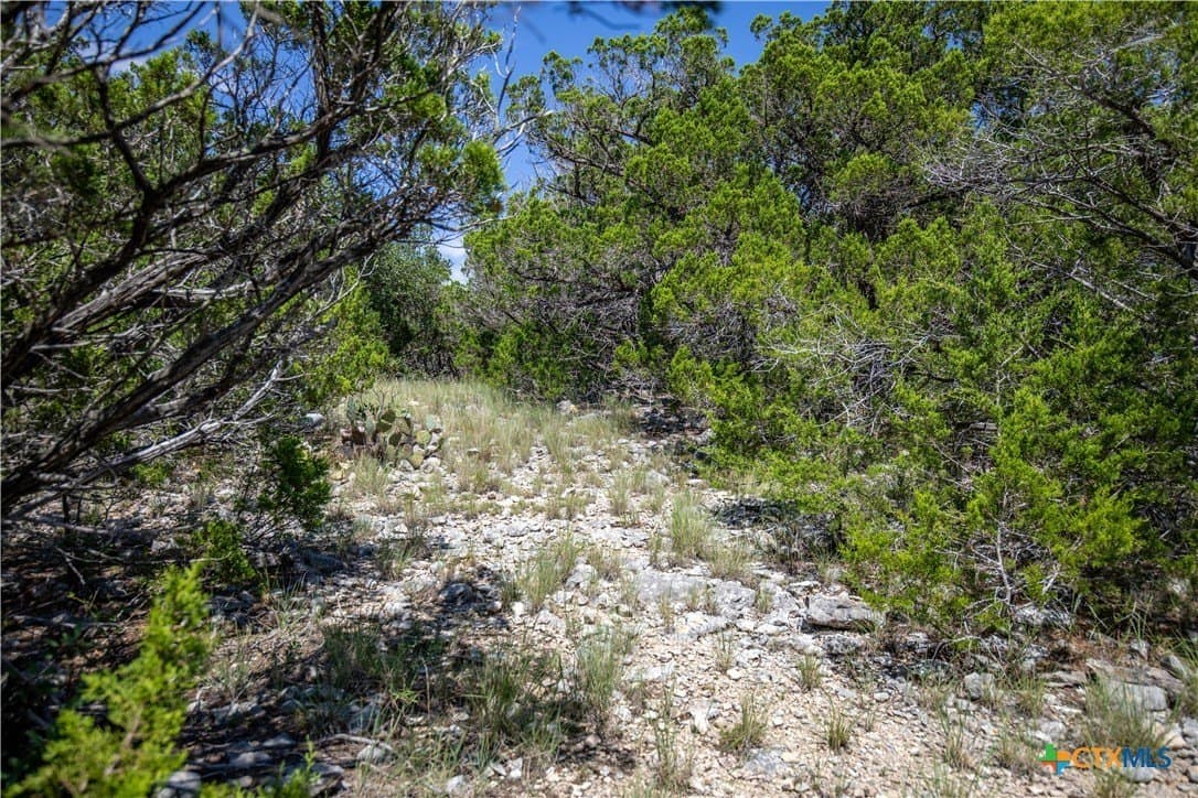 16.9 acres in Bandera County - photo 42