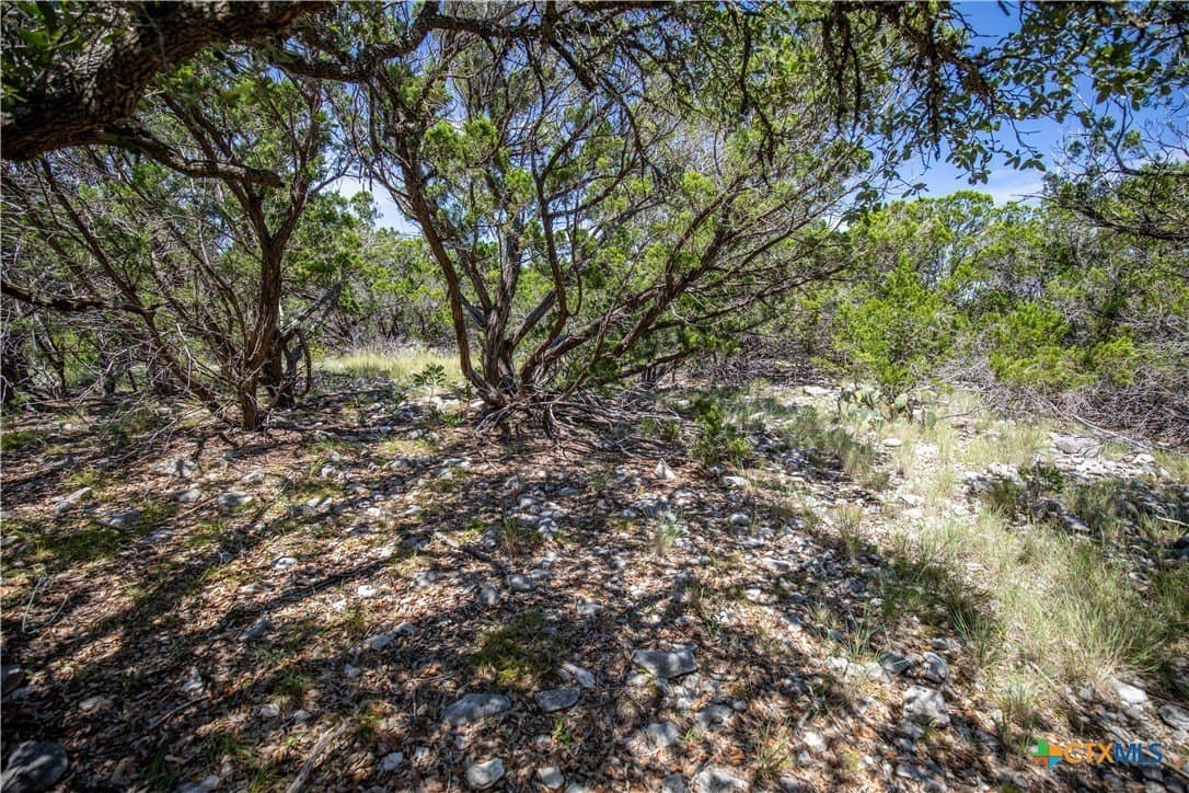 16.9 acres in Bandera County - photo 38