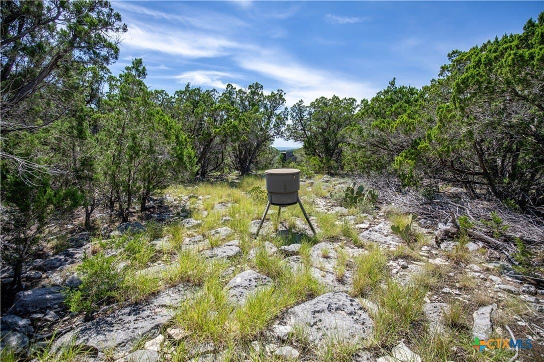 16.9 acres in Bandera County - photo 34
