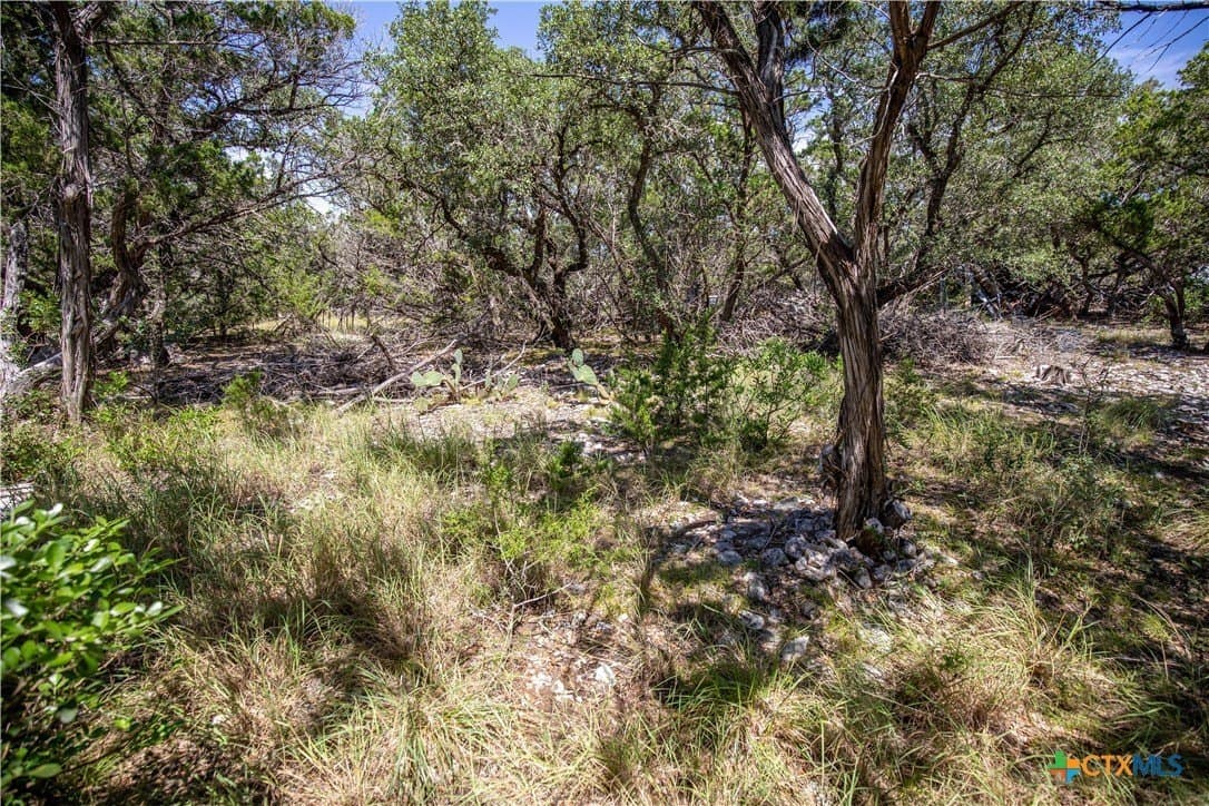 16.9 acres in Bandera County - photo 20
