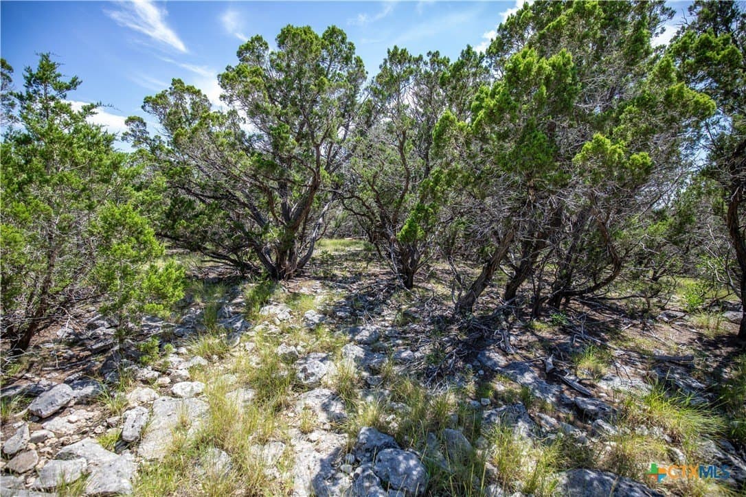 16.9 acres in Bandera County - photo 35