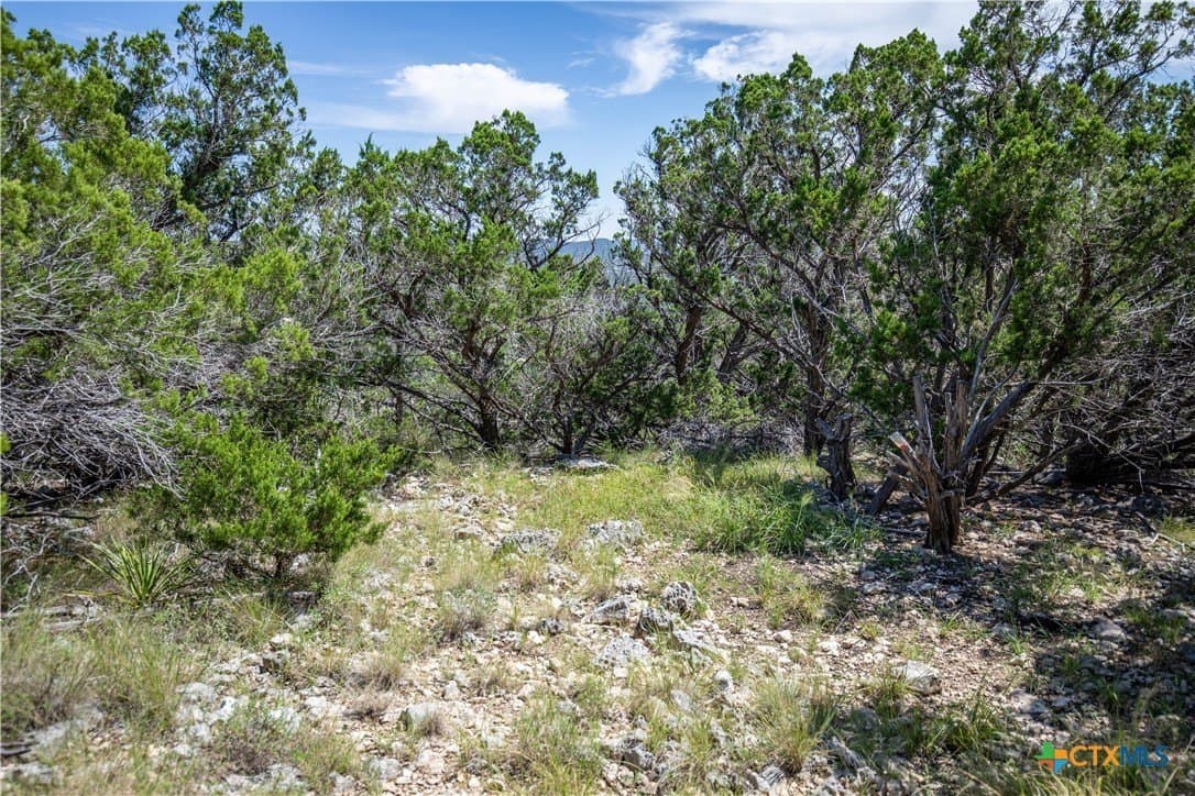 16.9 acres in Bandera County - photo 28
