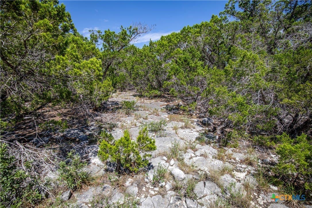 16.9 acres in Bandera County - photo 25