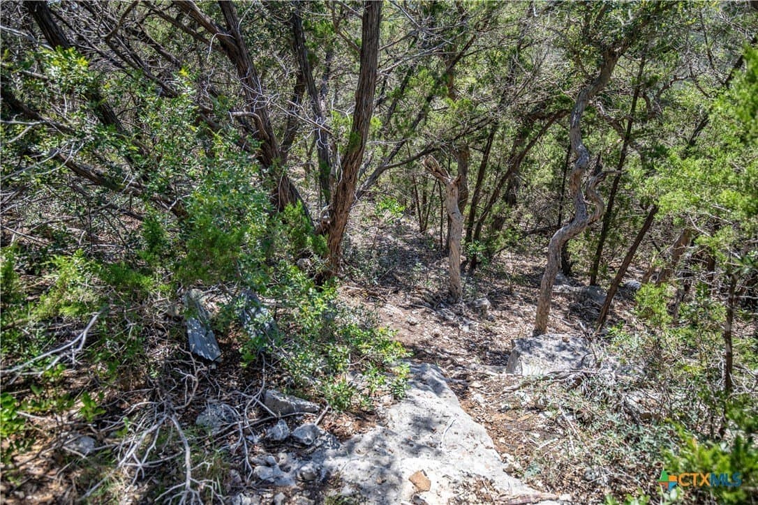 16.9 acres in Bandera County - photo 41