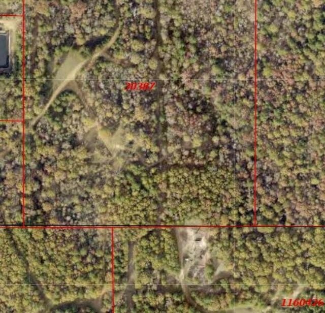19.91 acres in Gregg County - photo 5