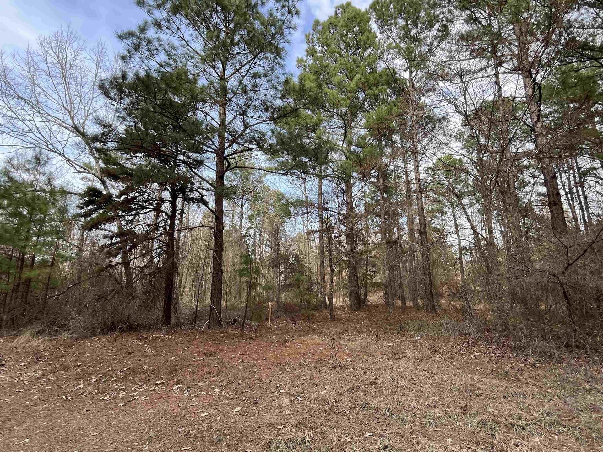 19.91 acres in Gregg County - photo 3