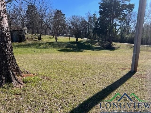 0.51 acres in Cass County - photo 3
