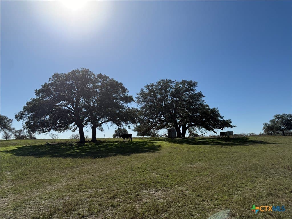 10.01 acres in Gonzales County - photo 9