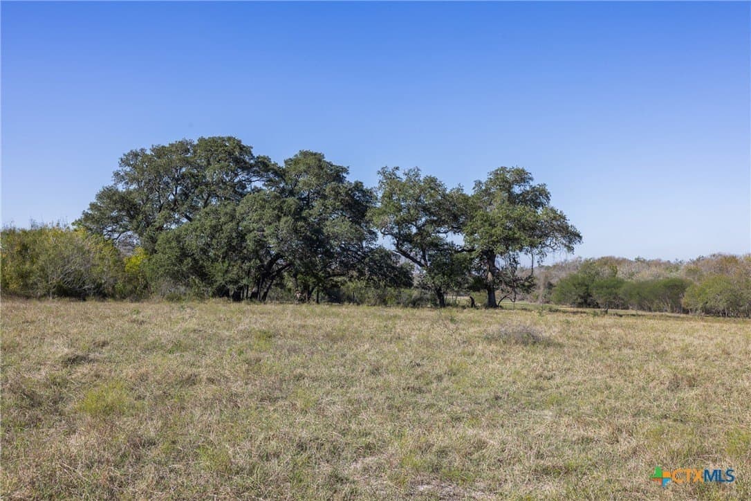 10.01 acres in Gonzales County - photo 7