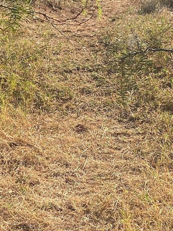 30 acres in Jones County - photo 15
