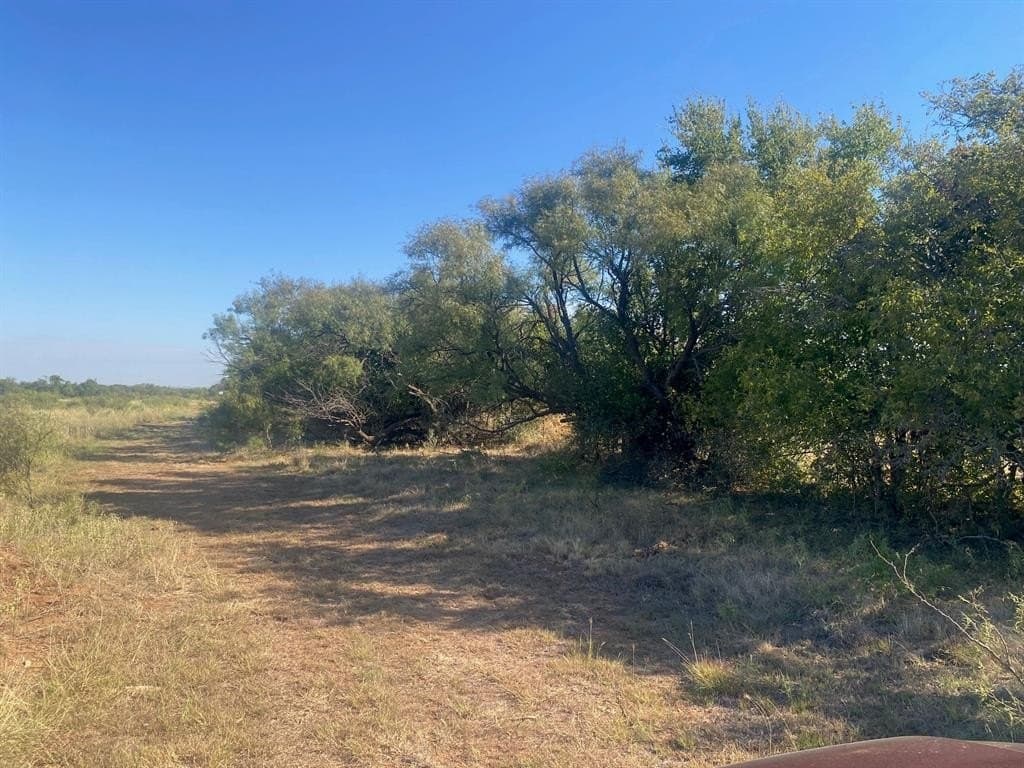 30 acres in Jones County - photo 13
