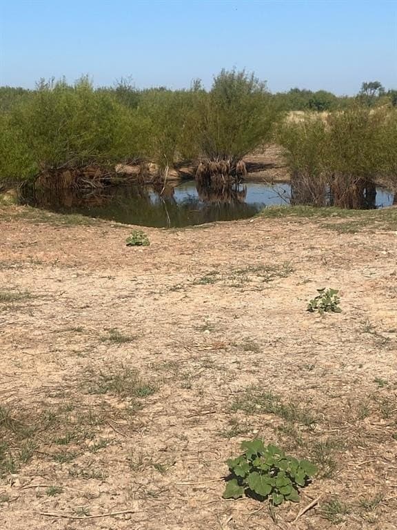 30 acres in Jones County - photo 4