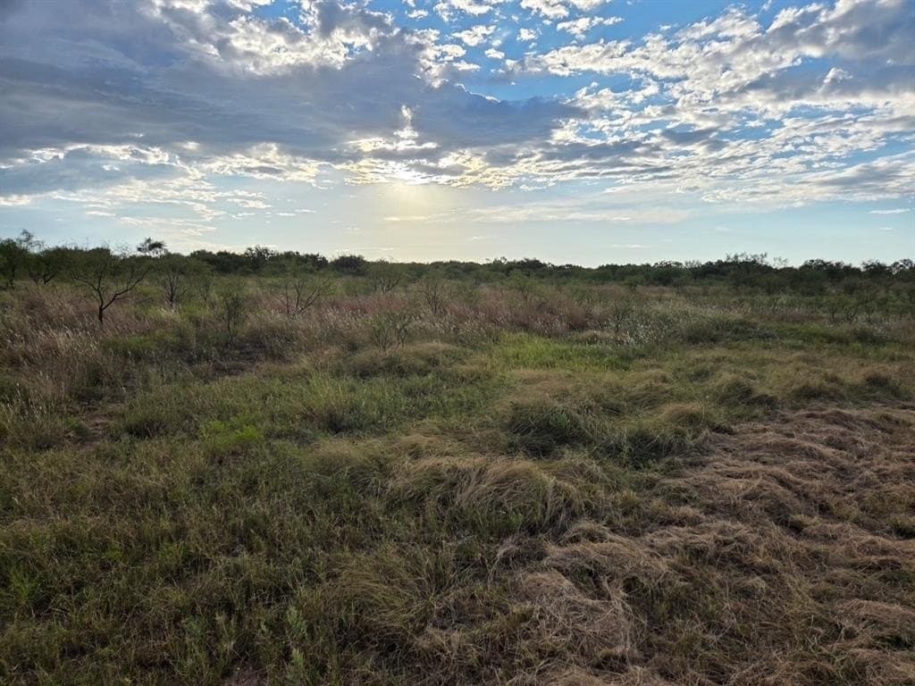 30 acres in Jones County - photo 26