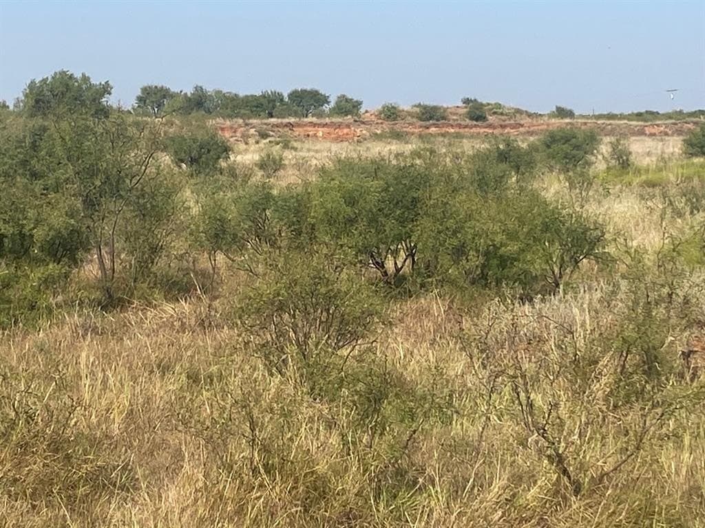 30 acres in Jones County - photo 12