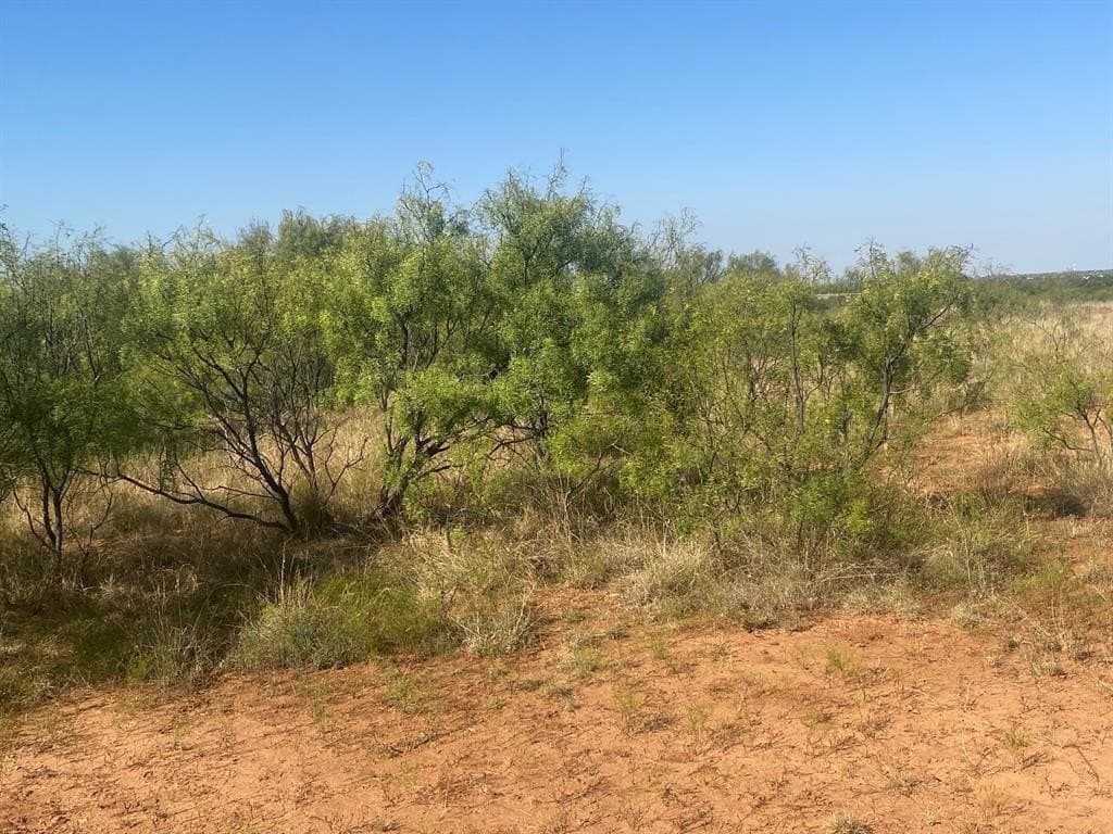 30 acres in Jones County - photo 18